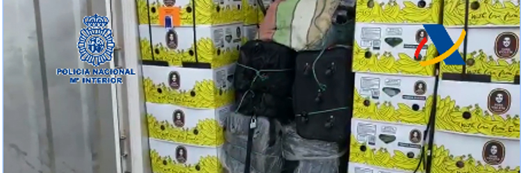 Noticia de Almera 24h: Incautados cerca de 200 kilos de cocana ocultos en el interior de un contenedor localizado en el Puerto de Algeciras