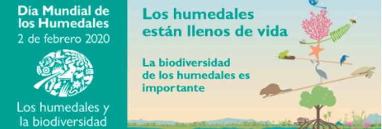 Con motivo del Da Mundial de los Humedales, el 2 de febrero, Ecologistas en Accin llama la atencin sobre la importancia de estos ecosistemas como reservas de biodiversidad y fuentes de vida