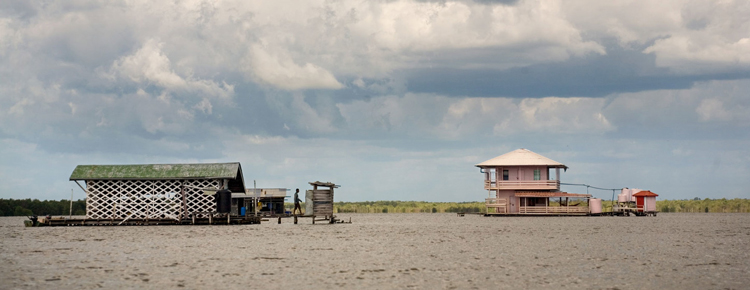 La gran importancia de Surinam para afrontar el cambio climtico
