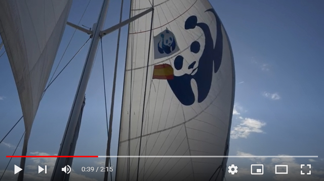 Noticia de Almera 24h: El Blue Panda llega a Espaa para pedir el 30% de reas Marinas en 2030