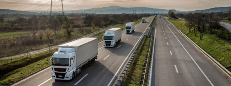 El Parlamento Europeo busca atajar las prcticas ilegales en el transporte por carretera y mejorar las condiciones laborales de los conductores