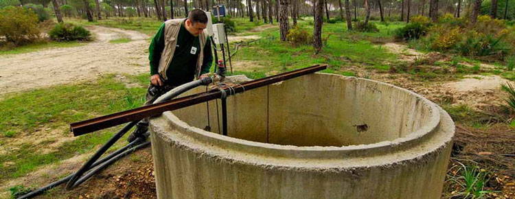 WWF apoya a la Confederacin Hidrogrfica del Guadalquivir para acabar con el uso ilegal del agua en Doana