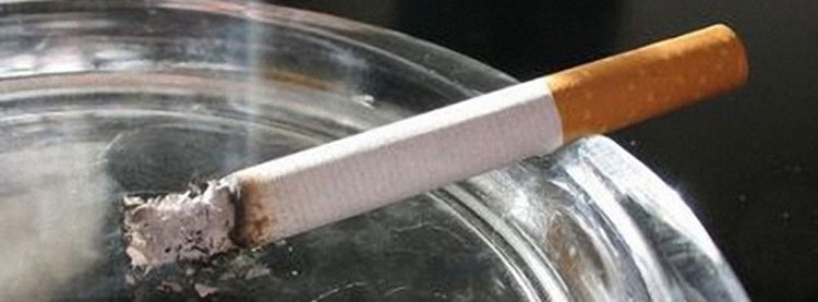 Noticia de Almera 24h: La ministra de Sanidad seala que todas las formas de tabaco suponen amenaza para la salud y recuerda la obligatoriedad de cumplir la ley