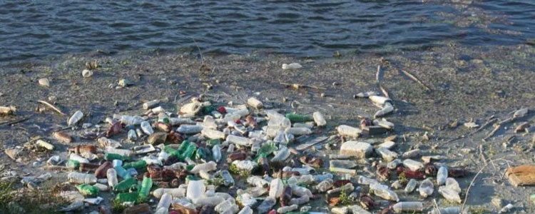 Nuevo Informe: Stop The Flood The Plastic