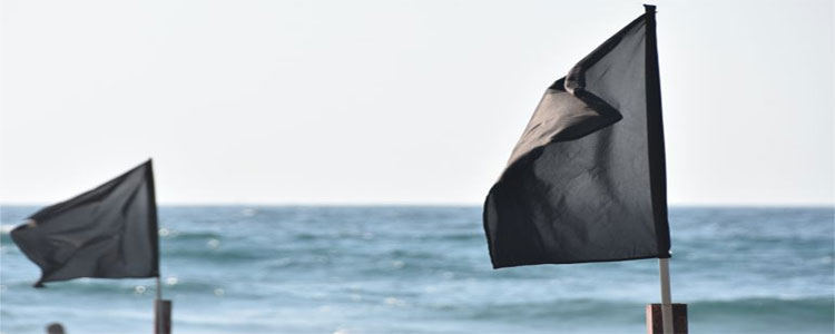 Noticia de Almera 24h: Banderas Negras 2019: el impacto del turismo de masas en nuestras costas