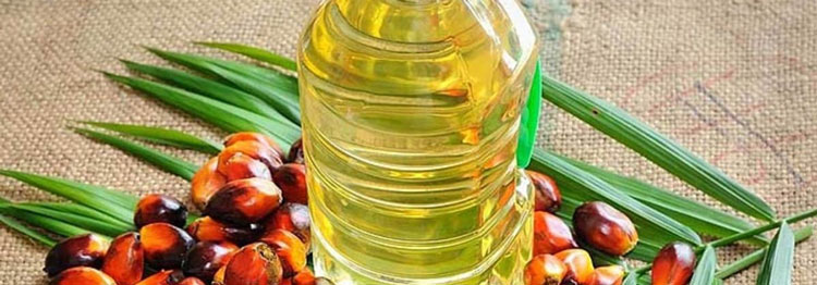 Noticia de Almera 24h: La tendencia empeora: ms aceite de palma para combustible y menos para alimentos