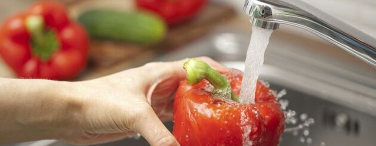 Noticia de Almera 24h: OCU recomienda extremar la higiene y conservar bien los alimentos para evitar intoxicaciones