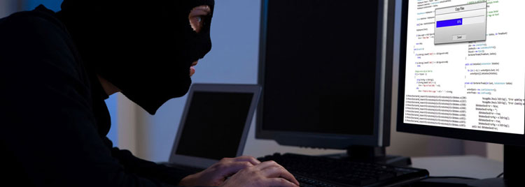 La Polica Nacional desmantela en Barcelona dos grupos de ciberdelincuentes especializados en estafas a travs de phishing y carding