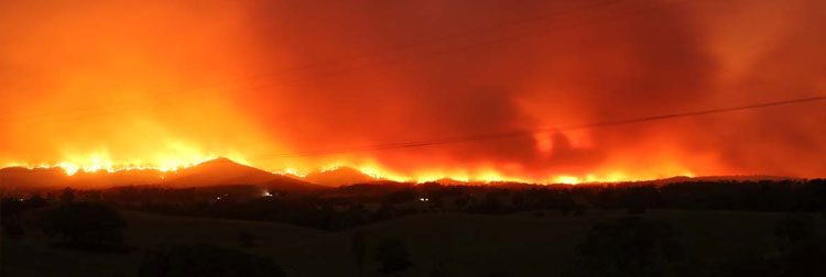 WWF recuerda la importancia de prevenir para evitar incendios agravados por el cambio climtico