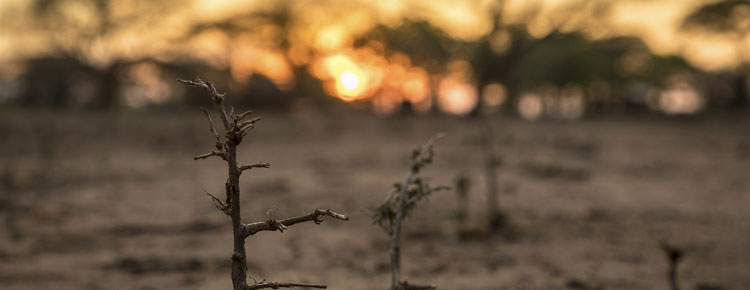 Noticia de Almera 24h: ONU: La crisis de alimentos en el sur de frica es de proporciones no vistas hasta el momento