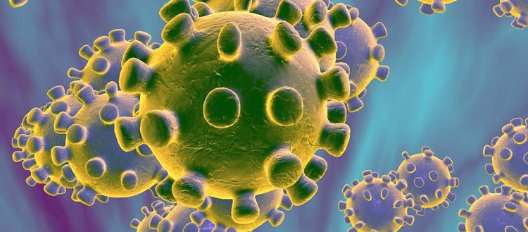 Noticia de Almera 24h: El Ministerio de Sanidad elabora un protocolo de actuacin frente al coronavirus